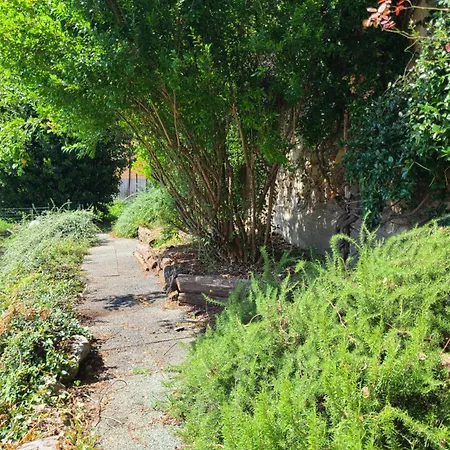 Robin's Nest Guest house