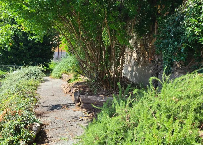 Robin's Nest 게스트하우스